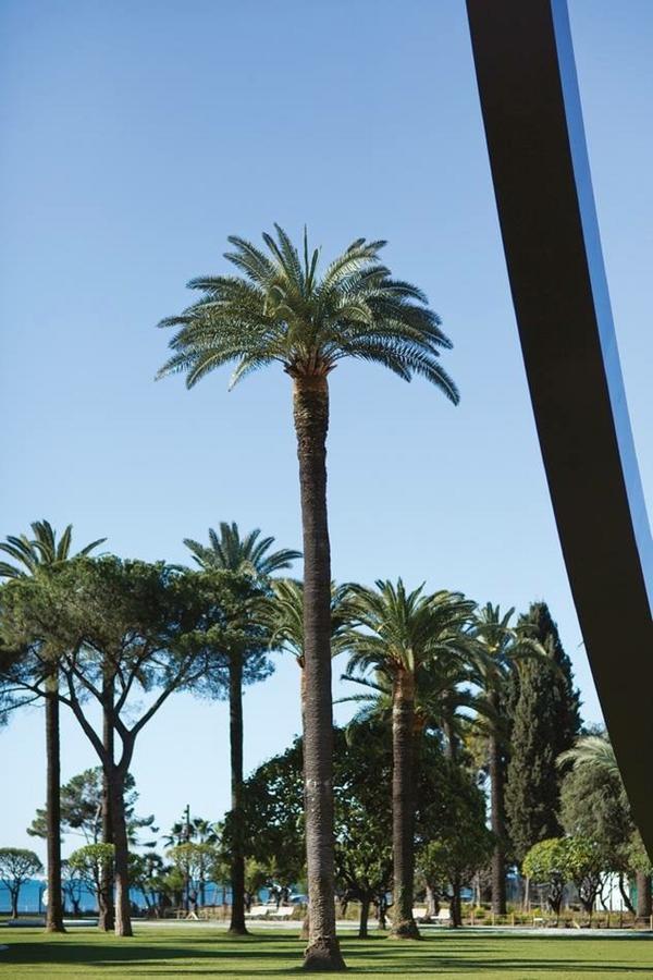Ross 5- F2, Lumineux, Balcon, Loft, Clim, Vieux-Niza Exterior foto